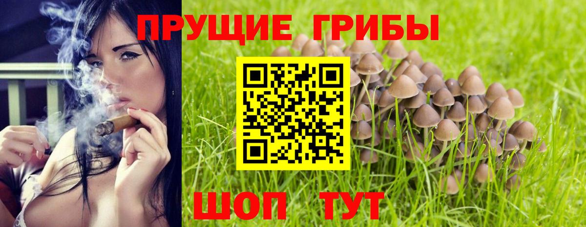 Псилоцибиновые грибы Magic Shrooms Можга